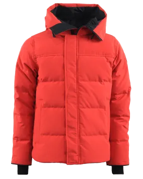 Heren Macmillan Parka Rood