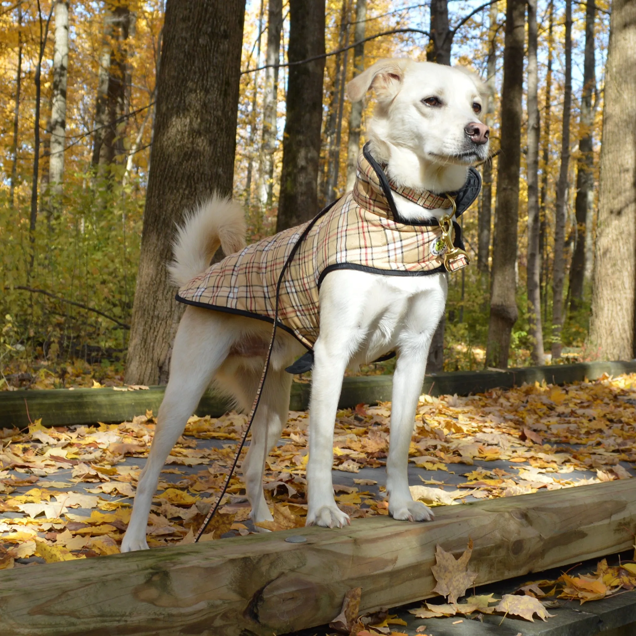 Plaid Diamond Quilted Coat