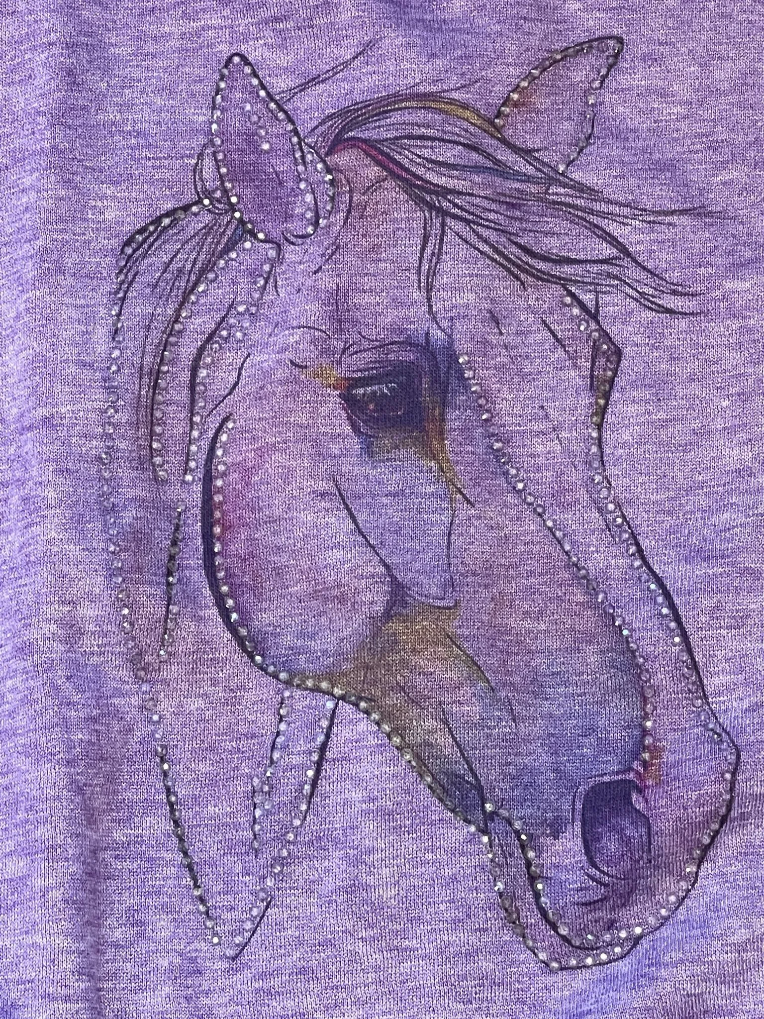 Sparkle By Stoopher Girls Purple Horse Crystalized Hoodie Jacket